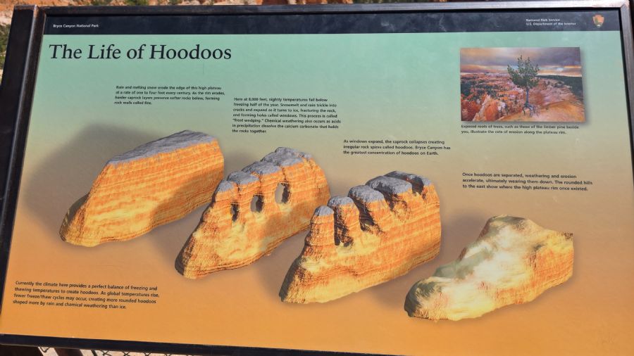 קניון ברייס